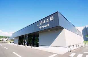 上田皮ふ科PΛΛK