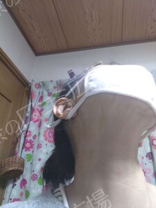 治療直後の症例写真